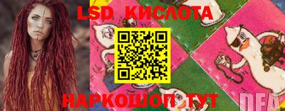 ГАЛЛЮЦИНОГЕННЫЕ ГРИБЫ Кандалакша
