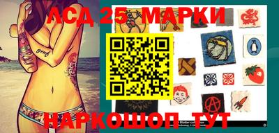 ГАЛЛЮЦИНОГЕННЫЕ ГРИБЫ Кандалакша