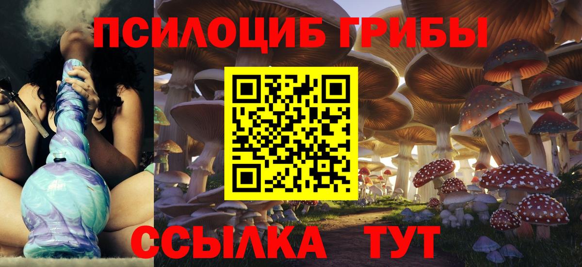 Псилоцибиновые грибы Cubensis Кыштым