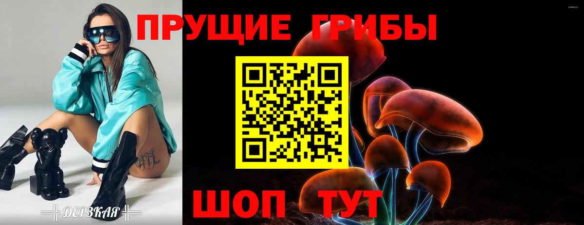Псилоцибиновые грибы MAGIC MUSHROOMS  Вход с VPN  Кыштым 